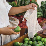 Seed and Sprout Organic Farmers Market/Shopping Set