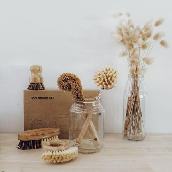 Seed and Sprout Eco Brush Set