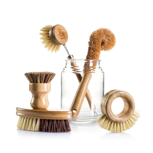 Seed and Sprout Eco Brush Set