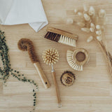 Seed and Sprout Eco Brush Set