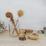 Seed and Sprout Eco Brush Set