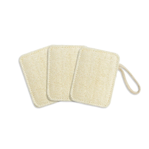 Seed and Sprout Compostable Kitchen Loofahs Set of 3